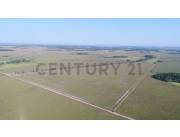 Estancia Agricola, ganadera, forestal. San Pedro