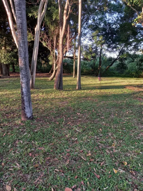 Vendo Terreno en San Bernardino Barrio Colon — foto 2