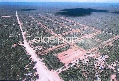 vendo 10 Hectáreas con Potencial Excepcional en Pozo Hondo, Boquerón Chaco 43341 — foto 3