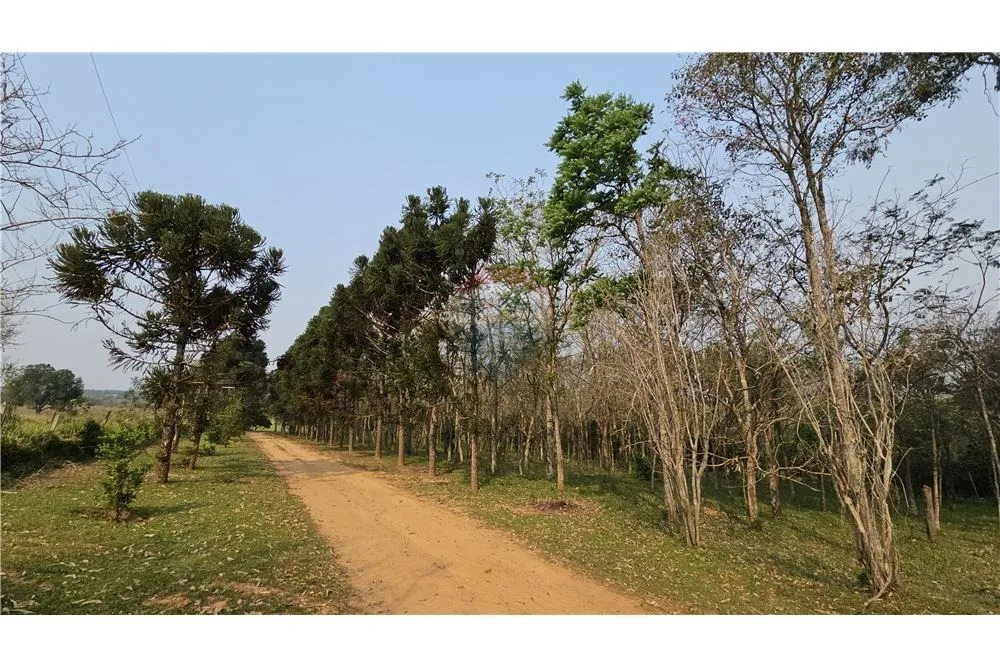 Estancia en venta — foto 3
