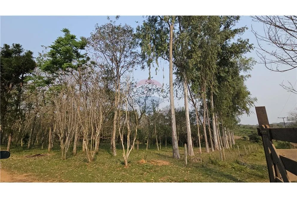 Campo en venta — foto 3