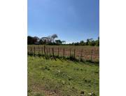 Loma Grande COD 6183