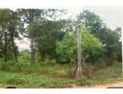 VENDO TERRENO 4000 M2 EN VILLETA BO.NARANJAY YSY A 200 MTRS DE RUTA GUARAMBARE VILLETA
