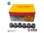 Russia Delivery Valve W225C Russia Diesel Injection Delivery Valve W225C