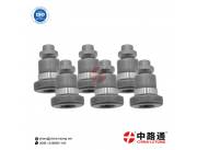 Russia Diesel Injection Delivery Valve W299 Russia Delivery Valve W2101