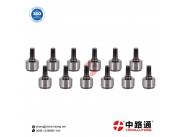 Diesel Injection Delivery Valve 632248 Delivery Valve VE55