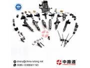 fuel Diesel Distributor Pipe 0 445 224 012