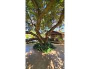 Vendo casa en el centro de San Bernardino. COD 6177