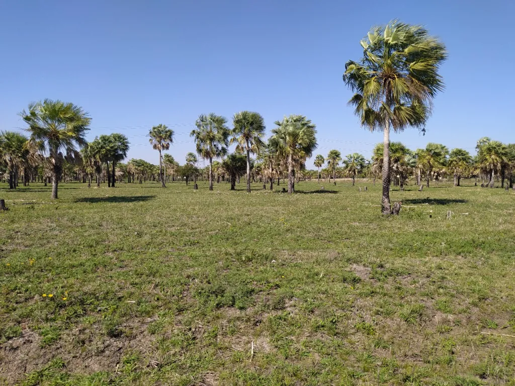 VENDO TERRENO EN CHACOÍ SOBRE LA RUTA FALCONNANAWA — foto 3