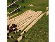 Postes de Eucaliptos tratados de 4,00 mts X 3,14 pulgadas. ContraEntrega C/Disponibilidad