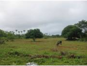 Lote recuperado de la semana: San Miguel, Misiones