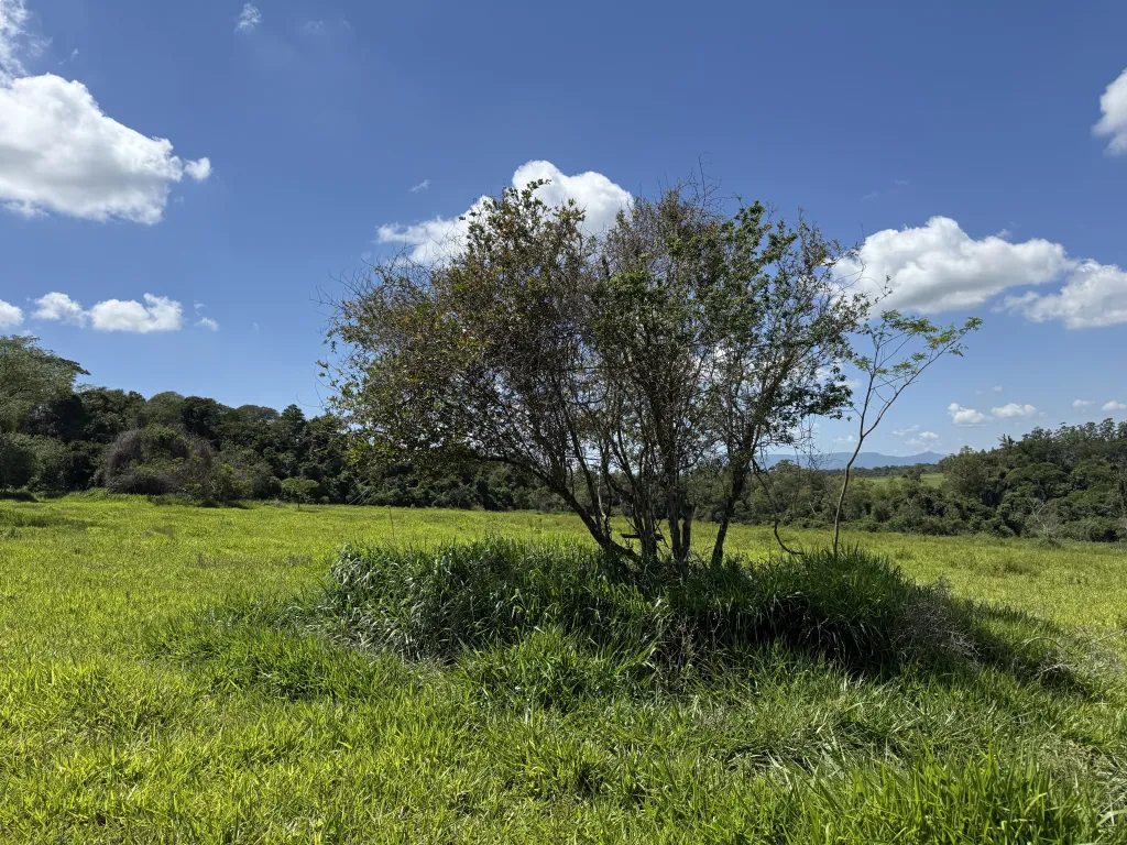 Vendo terrenos en Barrio Privado en la Colonia Independencia, Guairá — foto 3