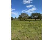 Vendo hectareas cod 6183