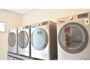 ALQUILO DEPARTAMENTO EN FORVM MOLAS LOPEZ