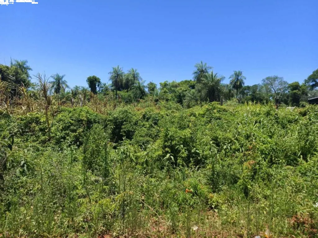 VENDO TERRENO EN AREGUÁ BARRIO LAS MERCEDES — foto 2