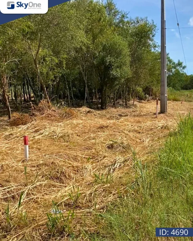 Vendo terreno en Surubii — foto 2