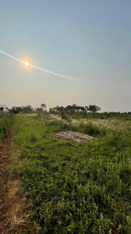 Campo en venta en Arroyos y Esteros — foto 2