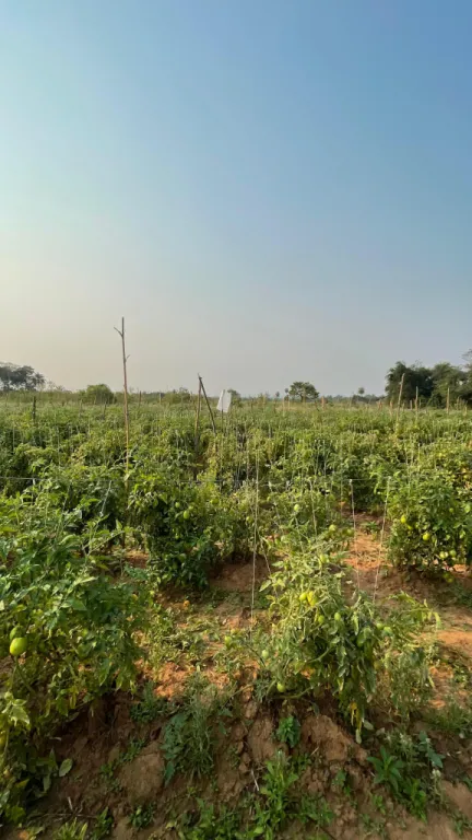 Campo en venta en Arroyos y Esteros — foto 3