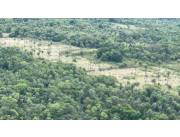 Vendo 14,6 hectáreas en Caacupé con vista al Cerro Kavaju