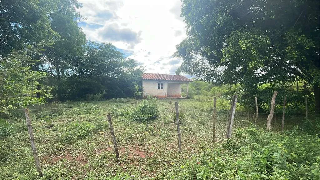 Vendo propiedad de 12,6 hectareas en Carapegua — foto 2