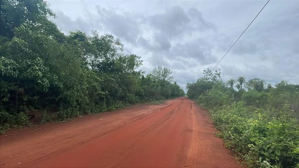 Vendo propiedad de 12,6 hectareas en Carapegua — foto 3