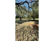 Vendo 50 hectáreas en Caapucu