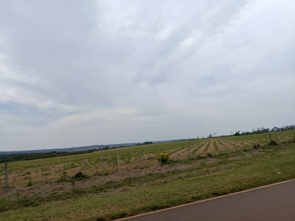 Campo en venta en Valenzuela — foto 2