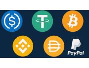 USDC USDT BTC BNB DAI Paypal