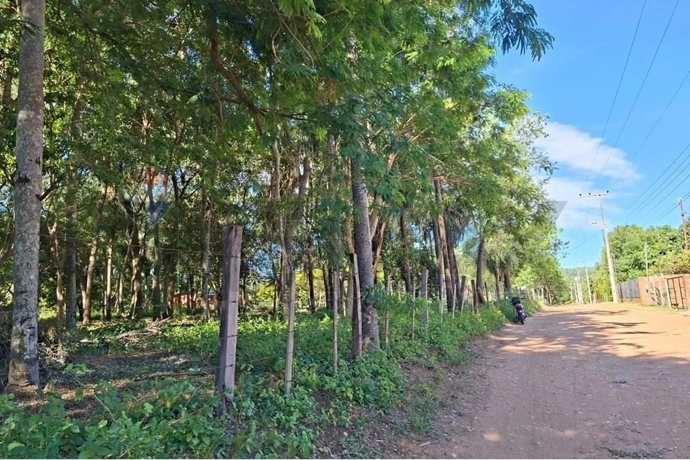 Terreno en San Bernardino, ¡Inversión Ideal! — foto 2