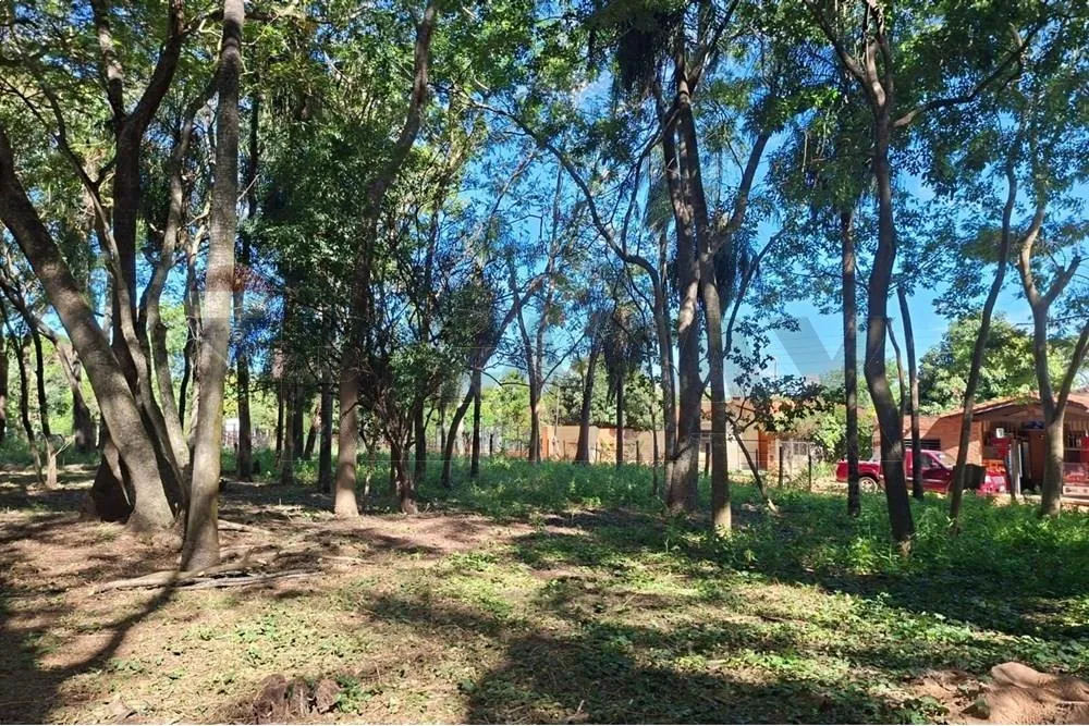 Terreno en San Bernardino, ¡Inversión Ideal! — foto 3