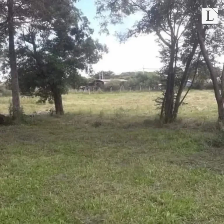 Amplio y buena ubicación terreno en barrio cerrado Luque — foto 3