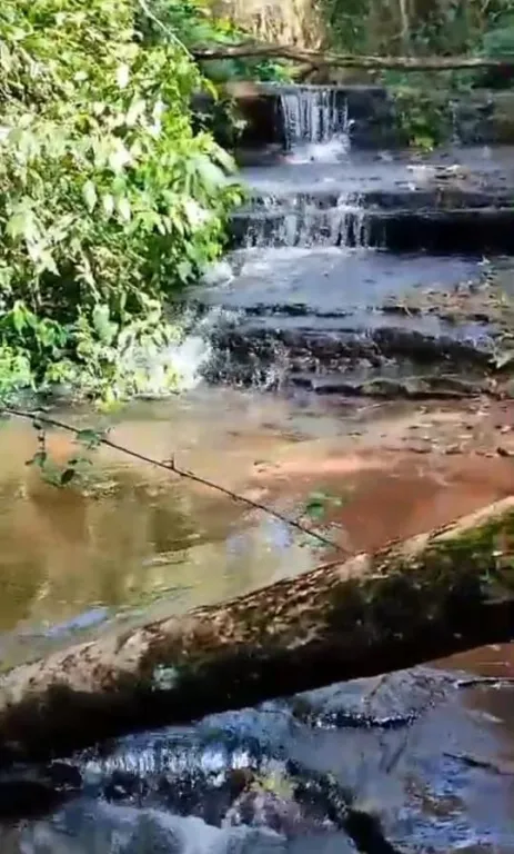 En venta! - 6.3 hectáreas en Caaguazu - Sobre ruta internacional PY02 — foto 3