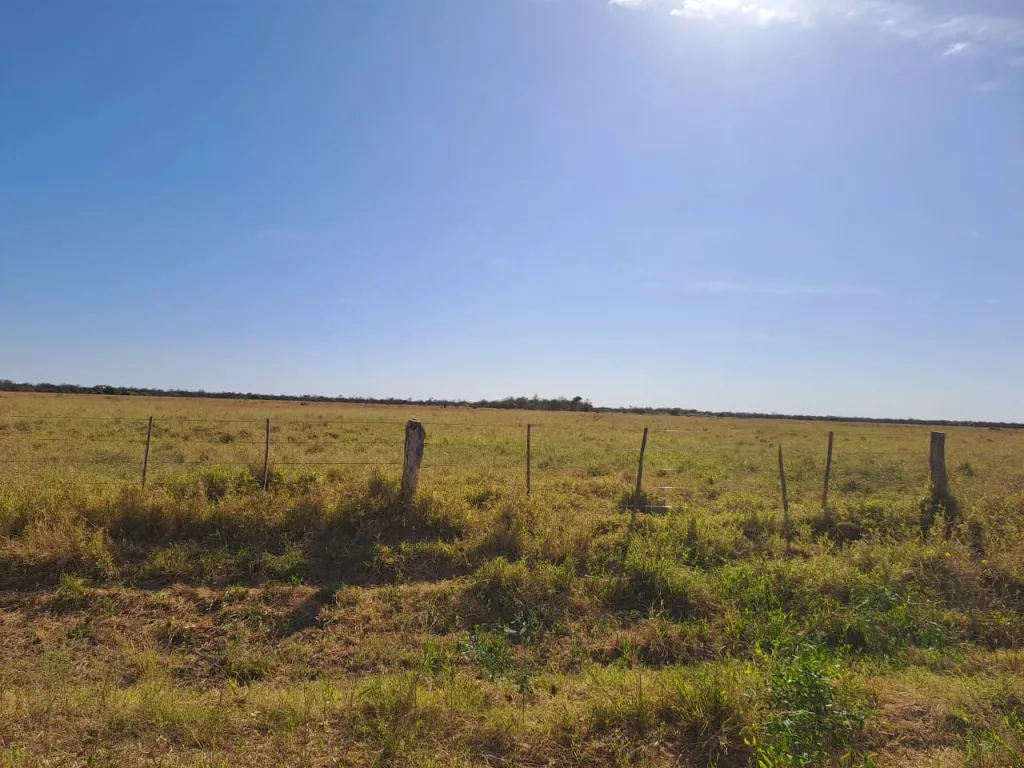 Vendo Propiedad Rural de 5.075 Hectáreas, Zona Tte. Martinez - CLCS7642642 — foto 3