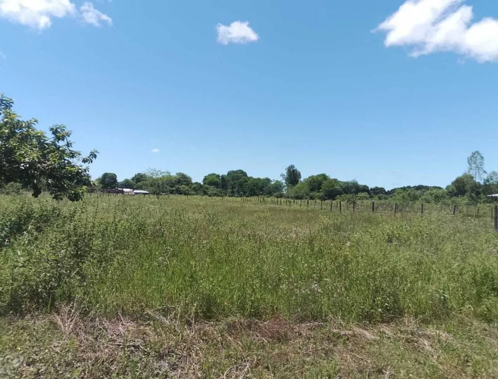 VENDO TERRENO EN PILAR YATAITY — foto 2