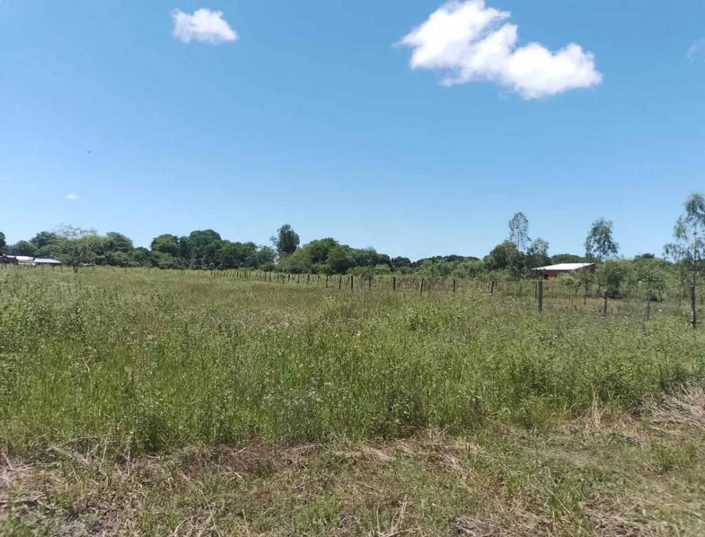 VENDO TERRENO EN PILAR YATAITY — foto 3