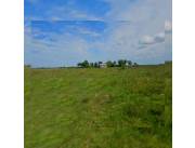 400 hectáreas de Posturas Semi-mecanizadas y 300 hectáreas mecanizadas exp a 1.800 ha. VEN