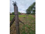 Vendo Terreno de 19x60 en total 1140 m2 de calle a calle en San Antonio zona Las Garzas