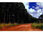 Estancia/Campo-Venta-PY San Pedro Choré