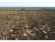 Vendo Estancia de 2.800 Hectáreas en Tte. Martinez, Fuerte Olimpo - CLCS7644540