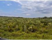 Campo Agrícola/Ganadero en Repatriación - 38 Ha.