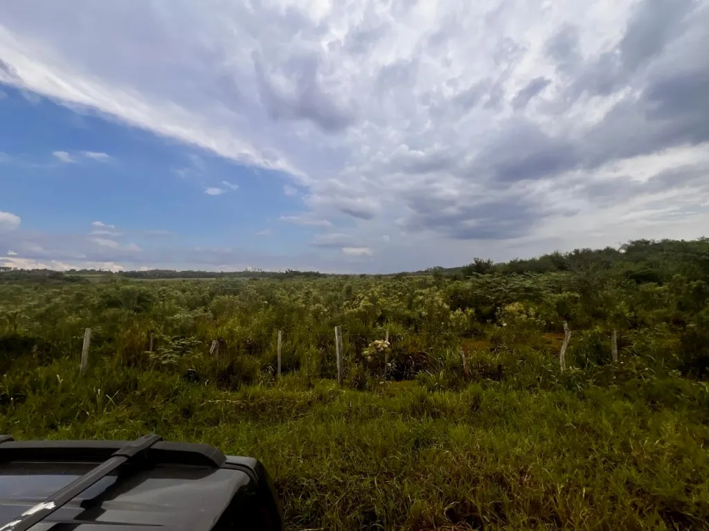 Campo AgrícolaGanadero en Repatriación - 38 Ha. — foto 3