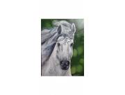 Cuadro al óleo Caballo blanco