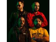 SALAMANDRA GRUPO MUSICAL