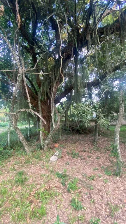 VENDO TERRENO EN SAN BERNARDINO URBANIZACIÓN SADI I — foto 2