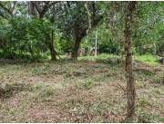 VENDO TERRENO EN SAN BERNARDINO RUTA LUQUE-SANBER