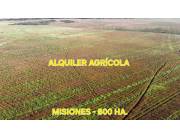 Alquilo Campo Agrícola Mecanizado en San Ignacio - 600 Ha.