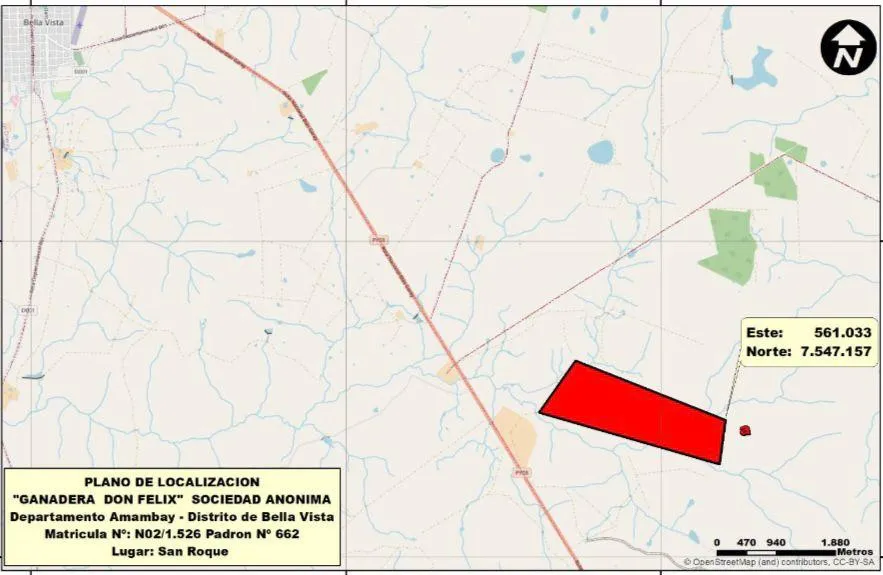 AMAMBAY, BELLA VISTA: 330 HAS, AGRO-GANADERA FORESTAL S RUTA, 6.200.000.000 GS. — foto 2