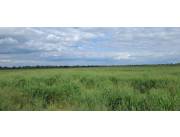 Vendo 11.125 has. en Boqueron – Chaco Py