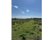 VENDO HECTAREAS EN LOMA GRANDE COD 6183