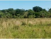 Campo en Emboscada - 27 Ha.